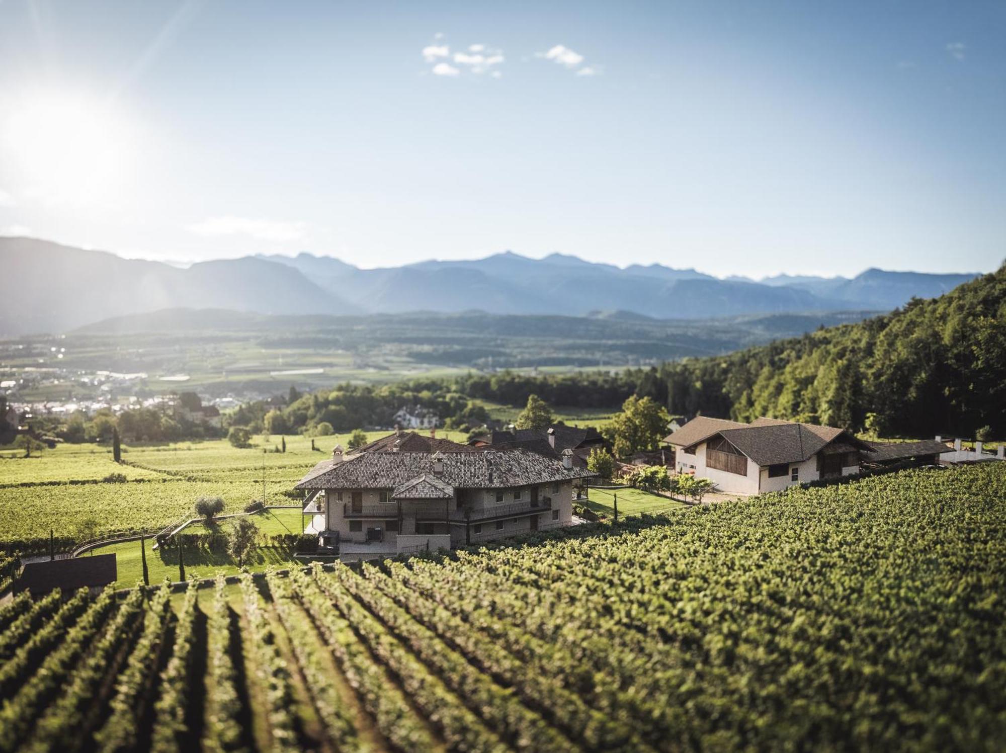 Nofnerhof Appiano Sulla Strada Del Vino Exterior foto