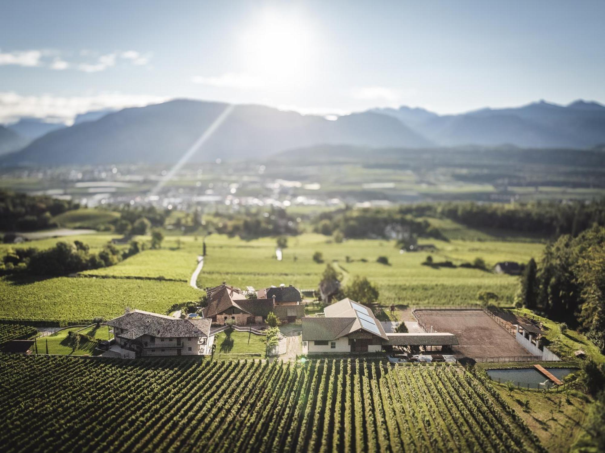 Nofnerhof Appiano Sulla Strada Del Vino Exterior foto